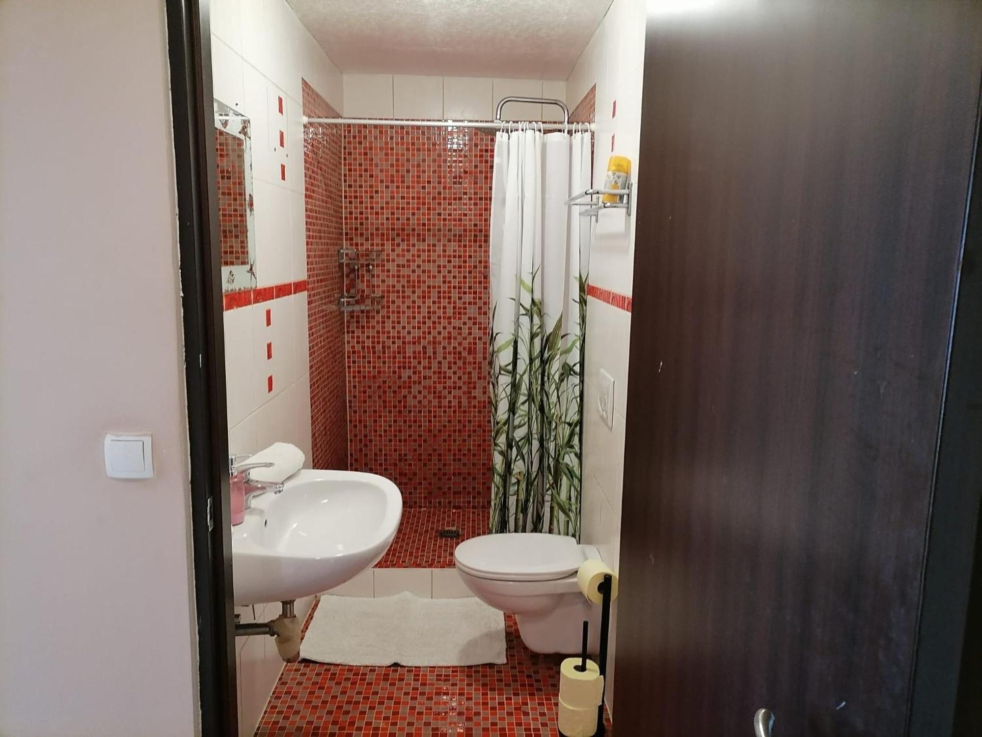 Olympia Apartment Latschach ober dem Faakersee 部屋 写真
